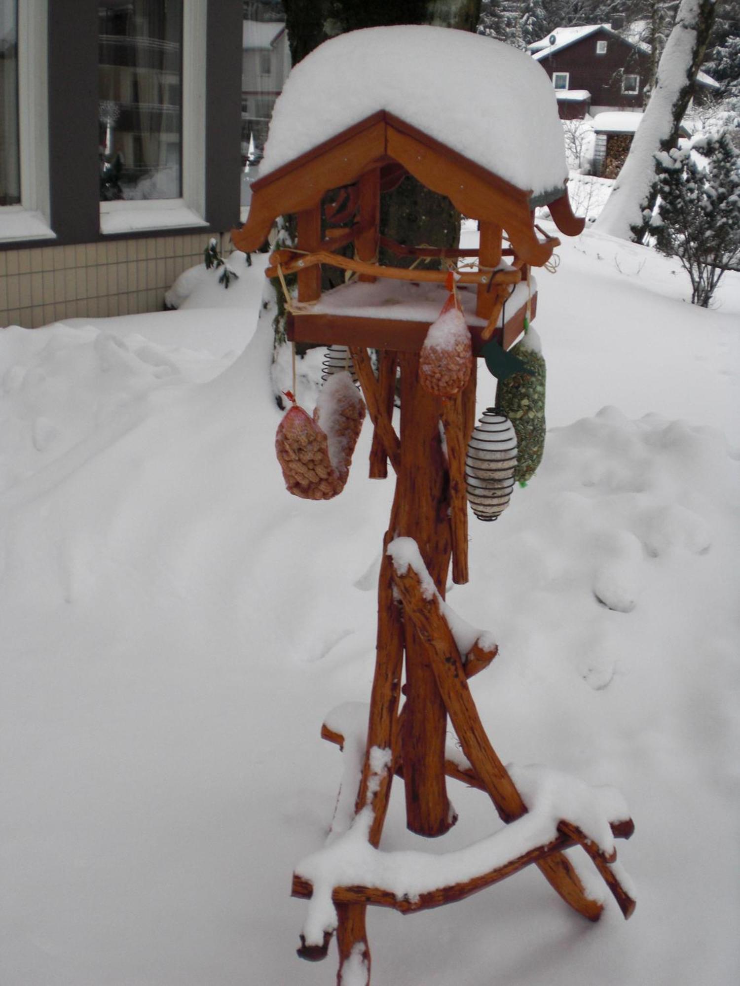 Landhaus Irmgard Braunlage Dış mekan fotoğraf